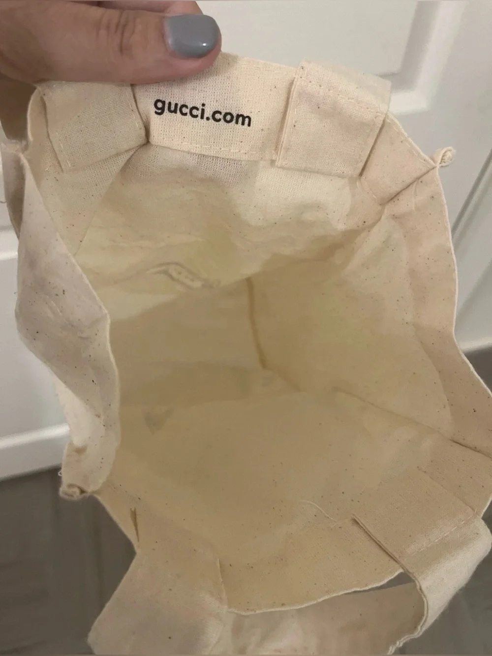 Gucci Velvet Glasses Case + Gucci Cream Reusable Small Cotton Tote Bag Bundle